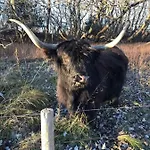 Frühstückspension Ereprijs 4*
