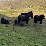 Frühstückspension Ereprijs 4*
